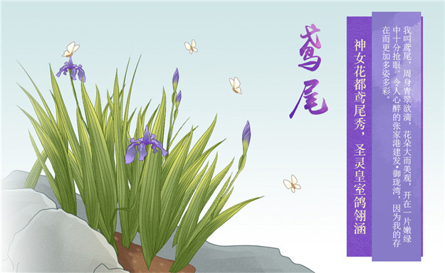 新澳门全年免费原料网